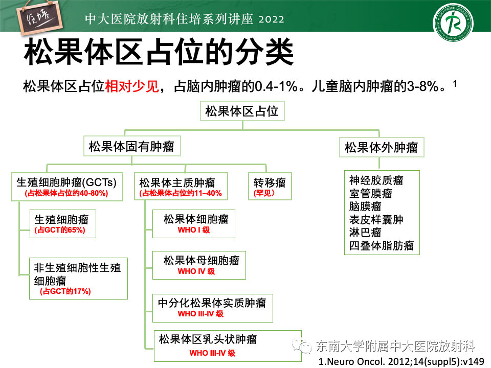 【PPT】松果体区占位性病变的诊断思路-6