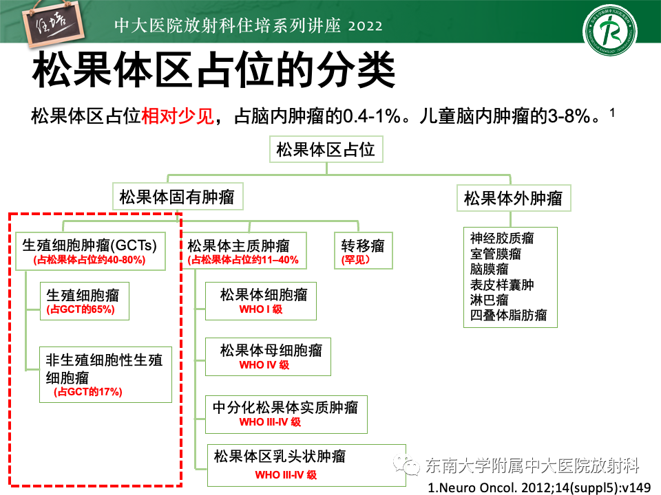 【PPT】松果体区占位性病变的诊断思路-12