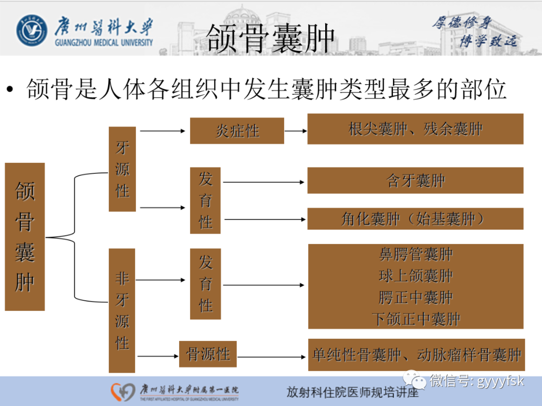 【PPT】颌骨常见病变的CT表现-4