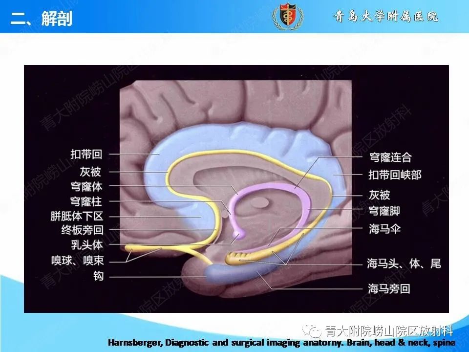【PPT】自身免疫性脑炎的影像诊断与鉴别-8