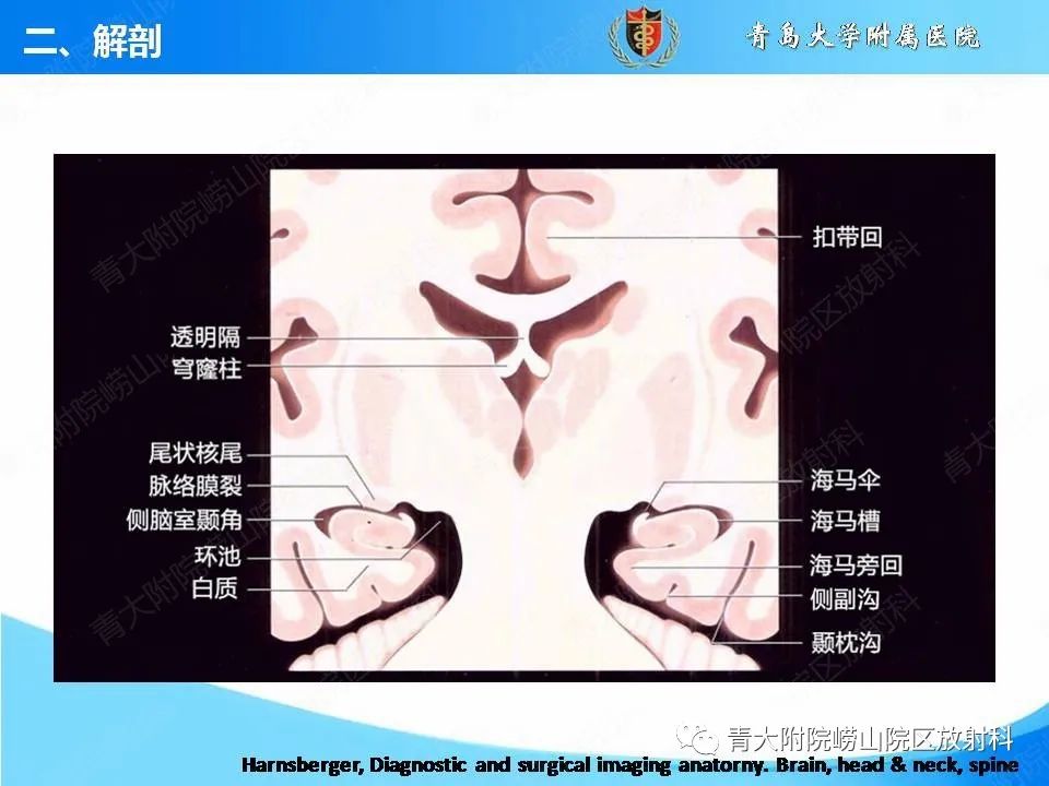 【PPT】自身免疫性脑炎的影像诊断与鉴别-9