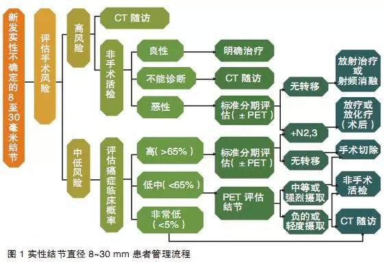 深度解读 2015 肺部结节诊治中国专家共识