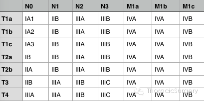 最新国际肺癌TNM分期标准 (第8版 )修订稿解读