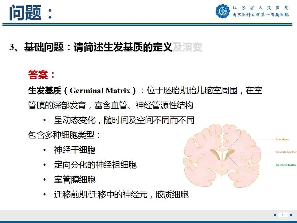 【PPT】生发基质-脑室内出血-15