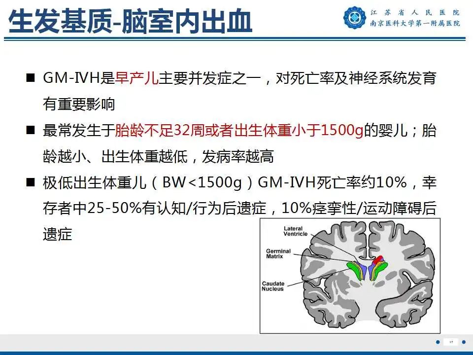 【PPT】生发基质-脑室内出血-18