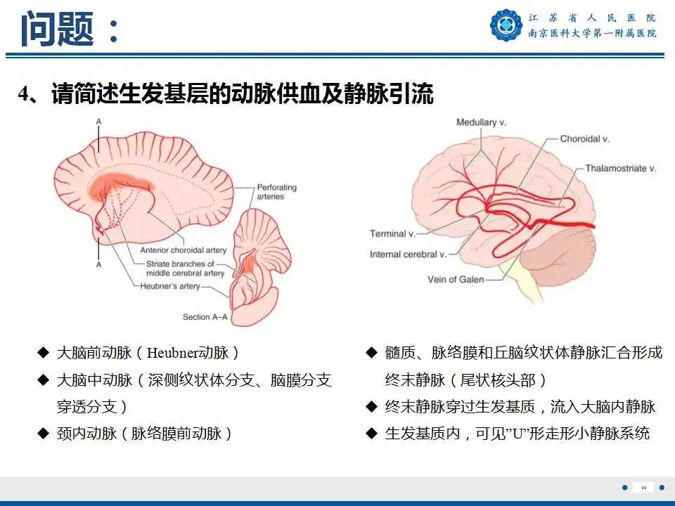 【PPT】生发基质-脑室内出血-40