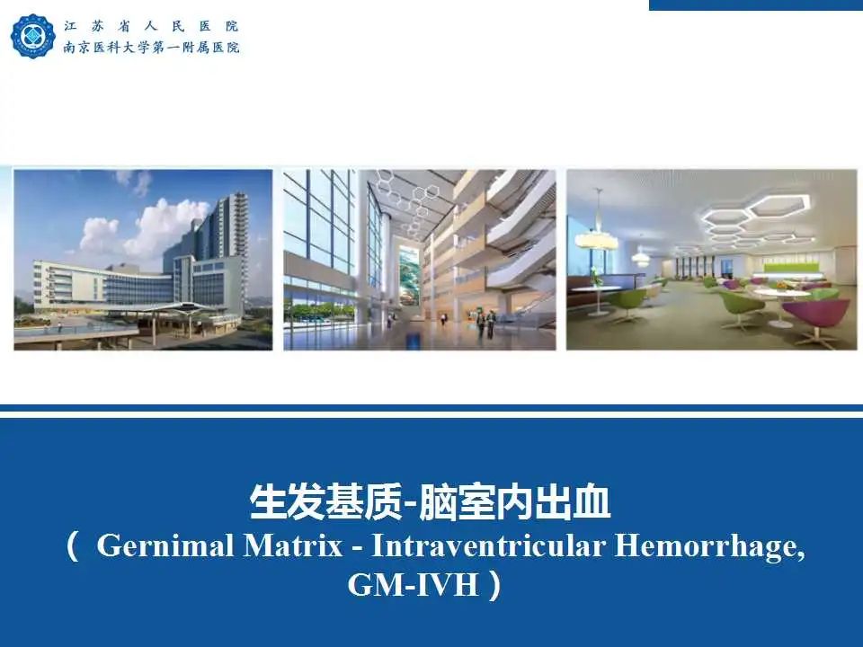 【PPT】生发基质-脑室内出血-47