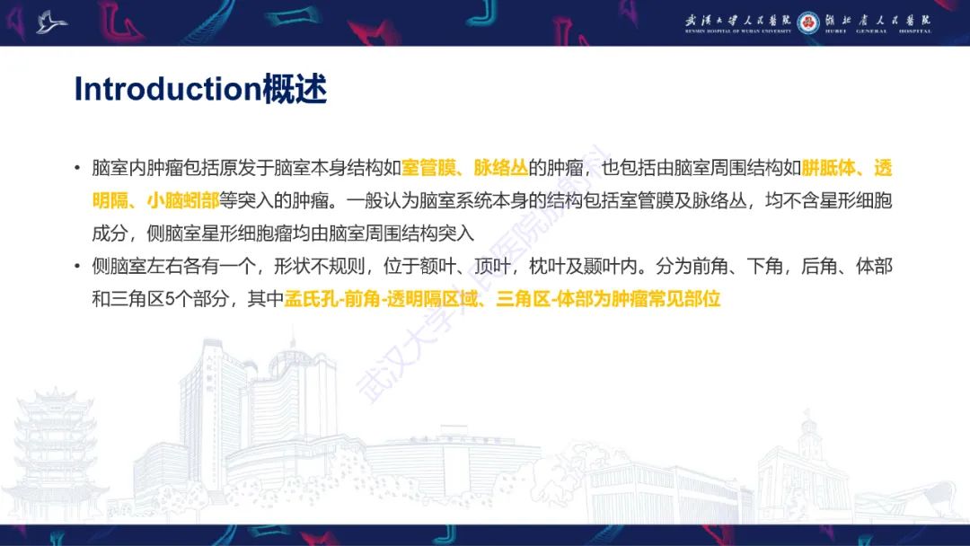 【PPT】侧脑室肿瘤影像诊断-7