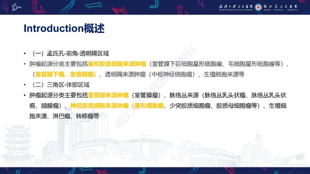 【PPT】侧脑室肿瘤影像诊断-8