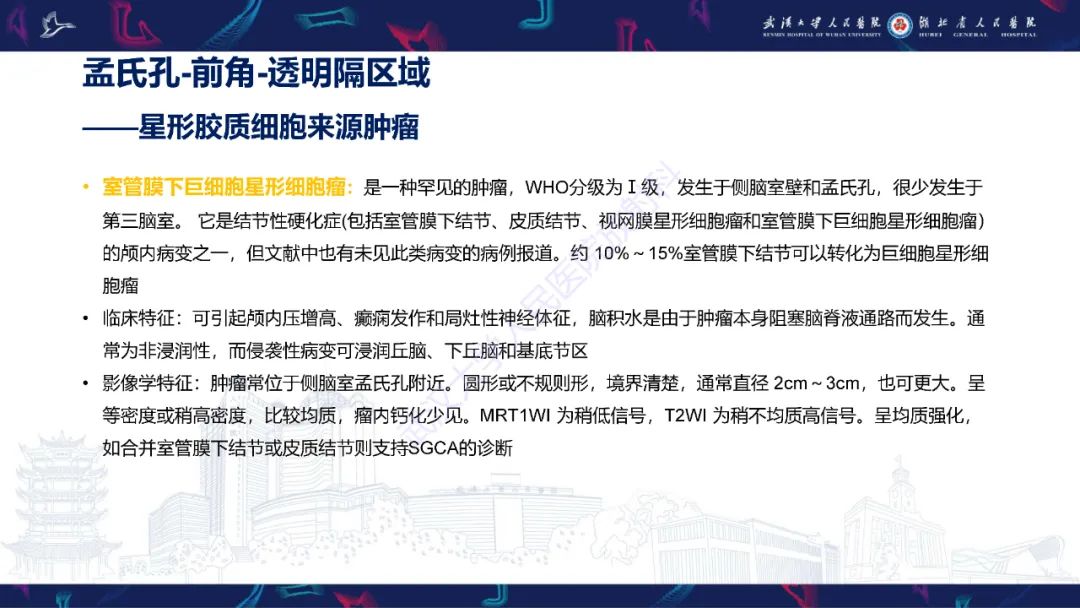 【PPT】侧脑室肿瘤影像诊断-9