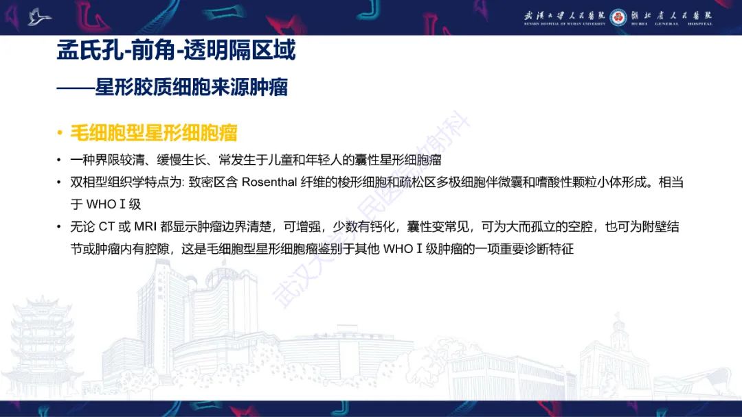 【PPT】侧脑室肿瘤影像诊断-11