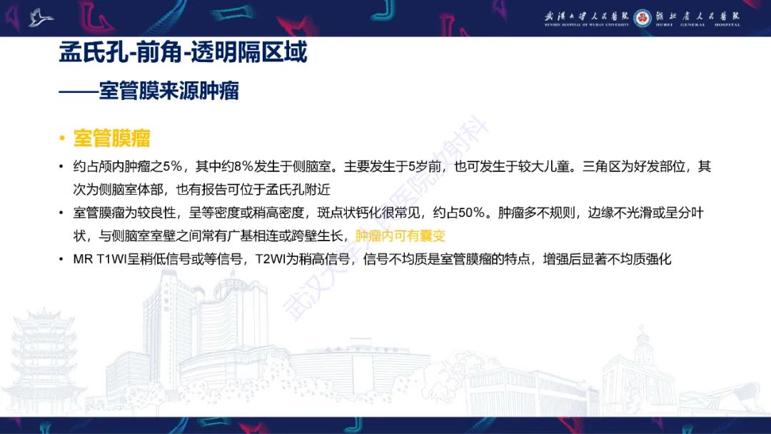 【PPT】侧脑室肿瘤影像诊断-13