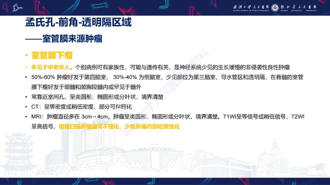 【PPT】侧脑室肿瘤影像诊断-15