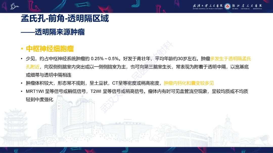 【PPT】侧脑室肿瘤影像诊断-17