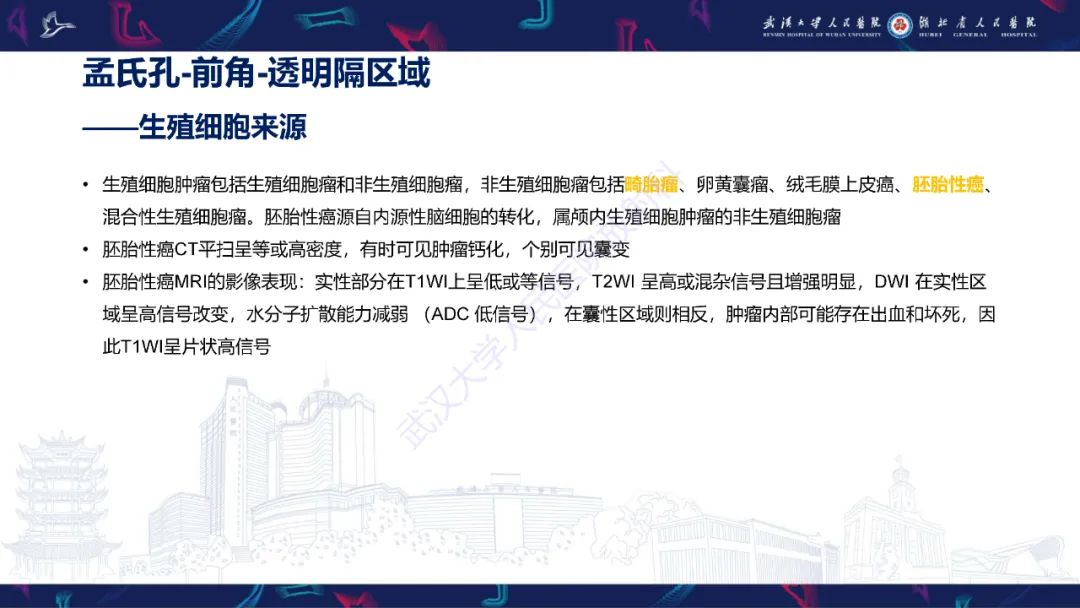 【PPT】侧脑室肿瘤影像诊断-21