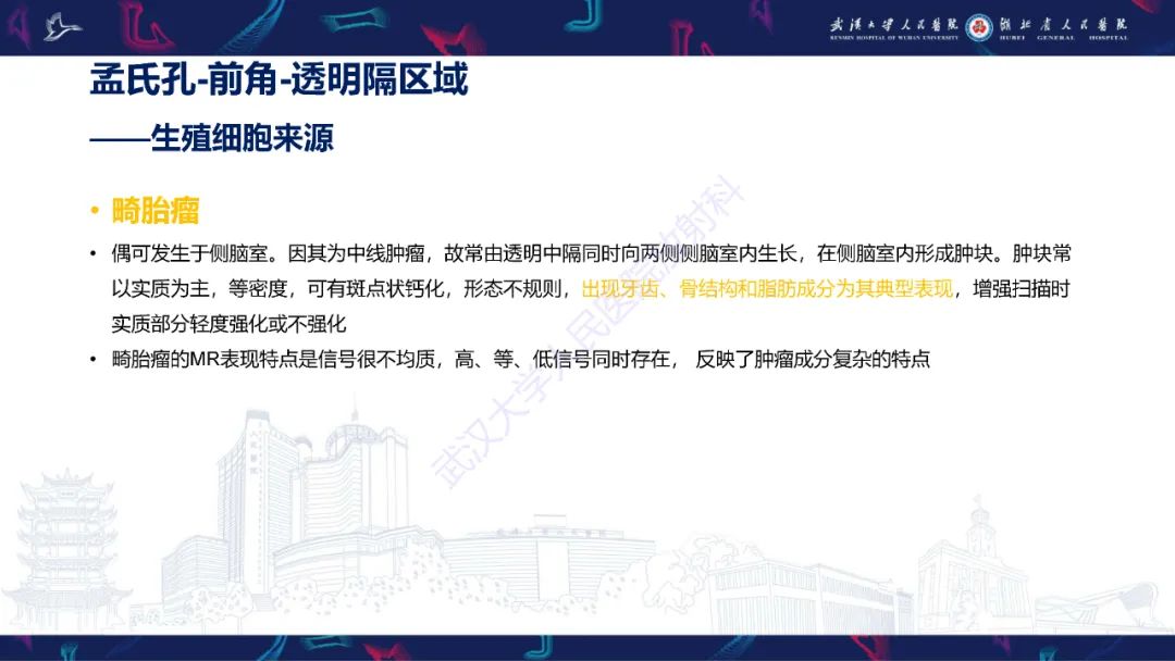 【PPT】侧脑室肿瘤影像诊断-23