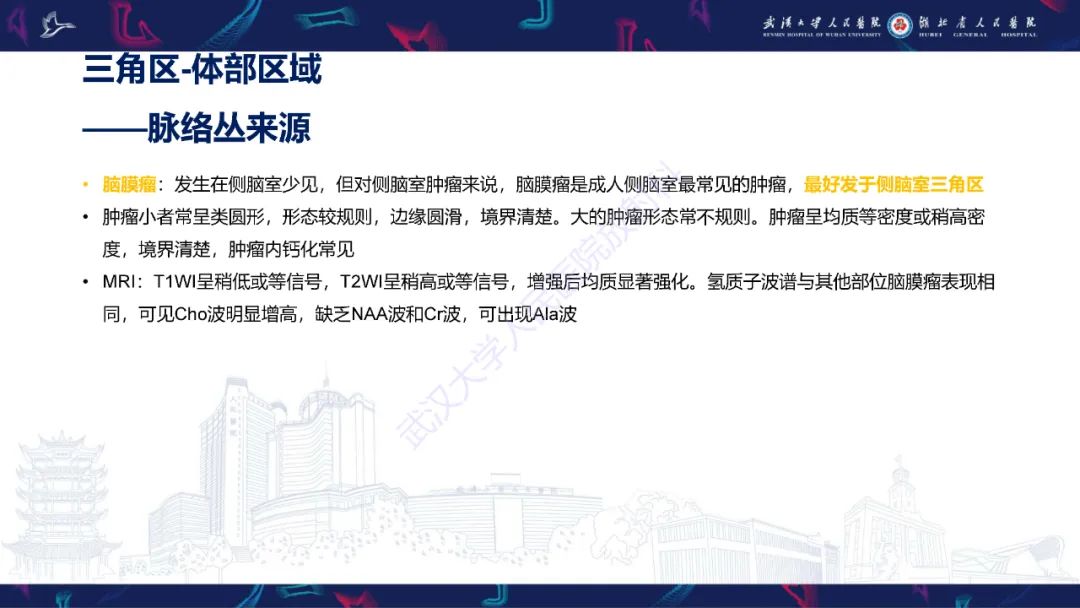 【PPT】侧脑室肿瘤影像诊断-27