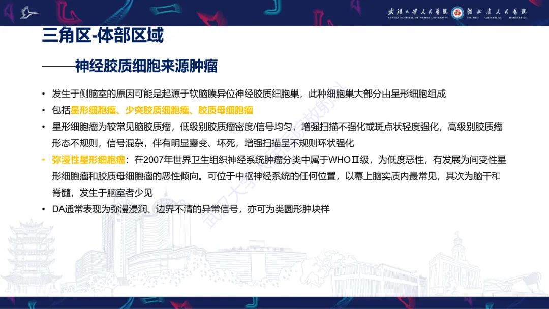 【PPT】侧脑室肿瘤影像诊断-29