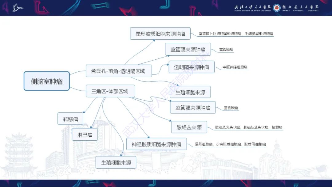 【PPT】侧脑室肿瘤影像诊断-36