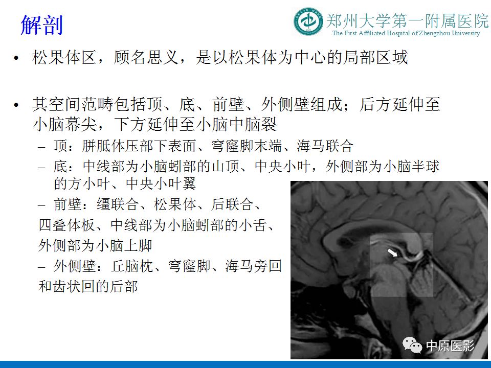 【PPT】松果体区肿瘤的MRI影像分析-3