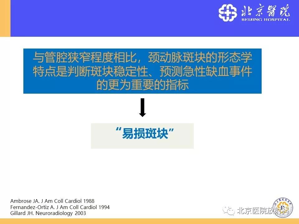【PPT】HRMRI在缺血性脑卒中精准病因诊断中的应用-5