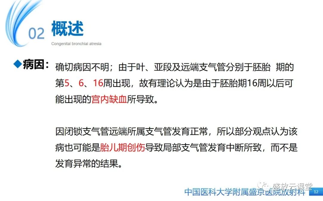 【PPT】先天性支气管闭锁-11