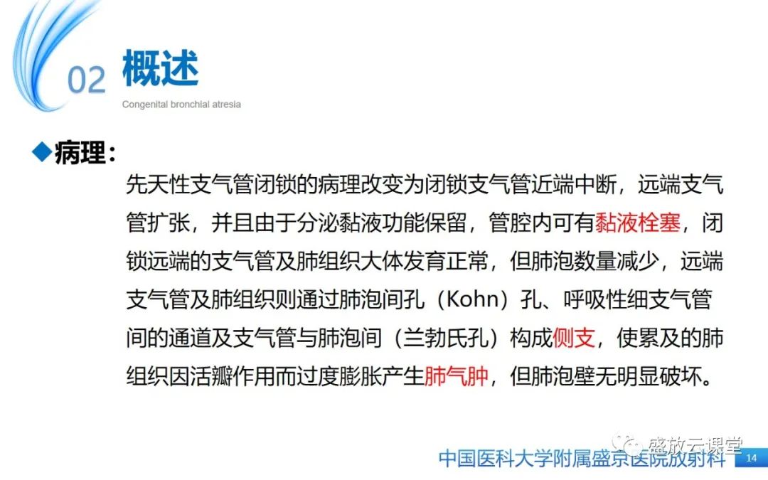 【PPT】先天性支气管闭锁-13