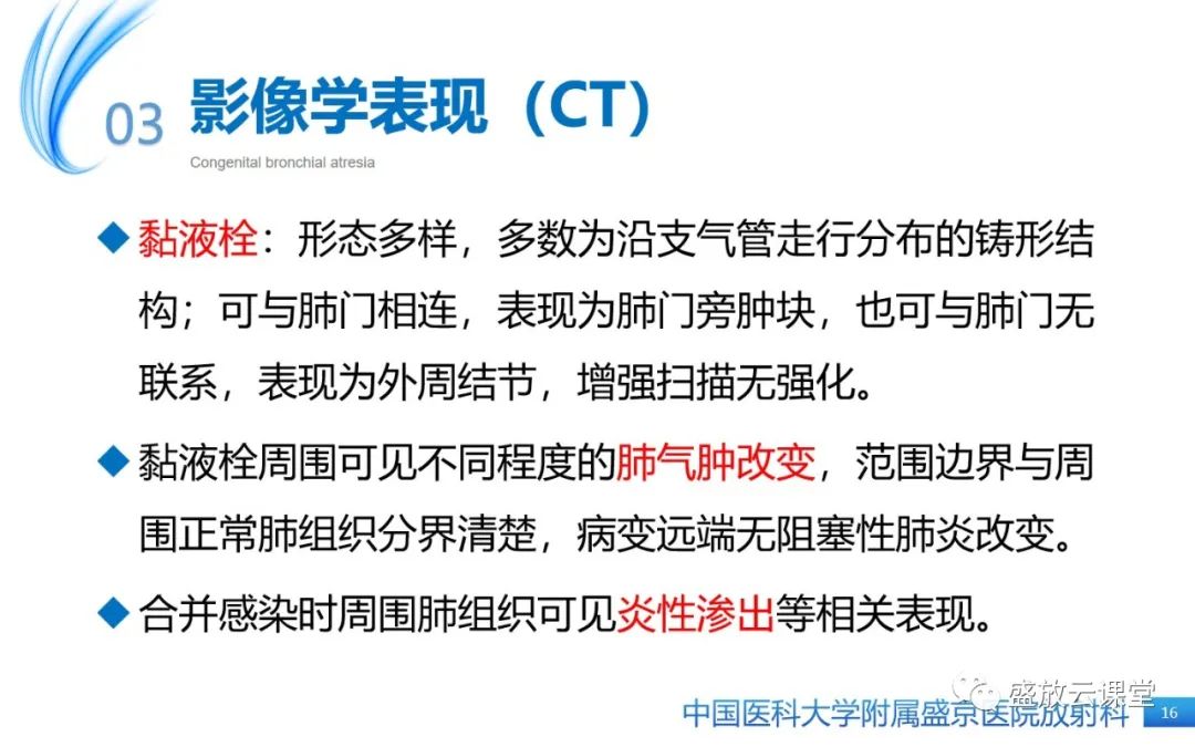 【PPT】先天性支气管闭锁-15