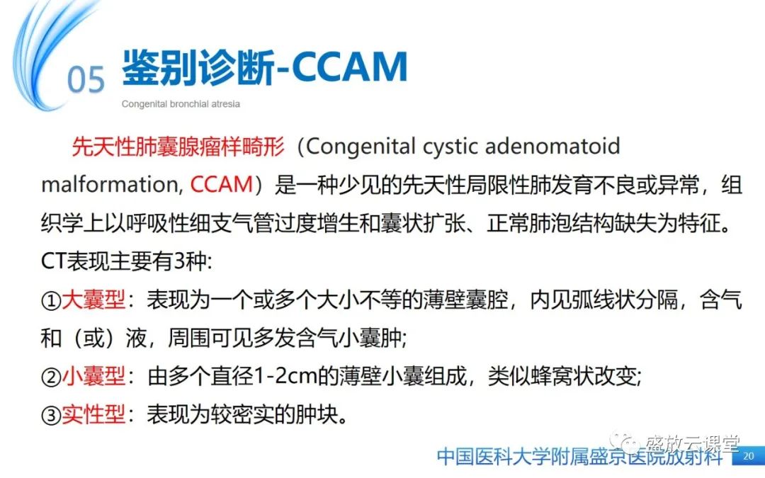 【PPT】先天性支气管闭锁-19