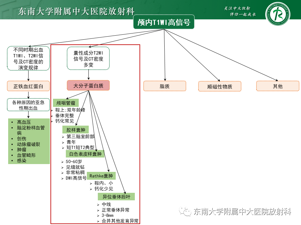 【PPT】成人颅内T1WI高信号病例随访-36