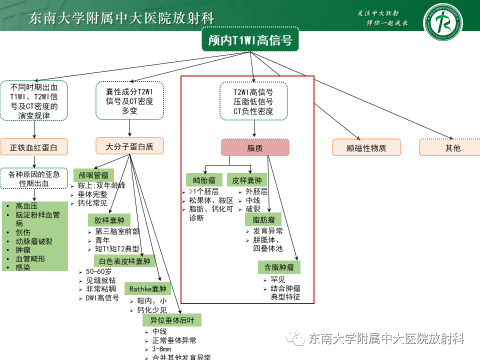 【PPT】成人颅内T1WI高信号病例随访-41