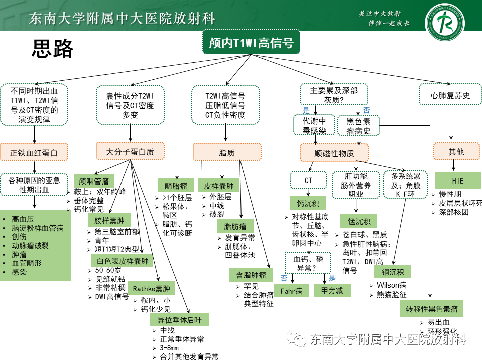 【PPT】成人颅内T1WI高信号病例随访-51