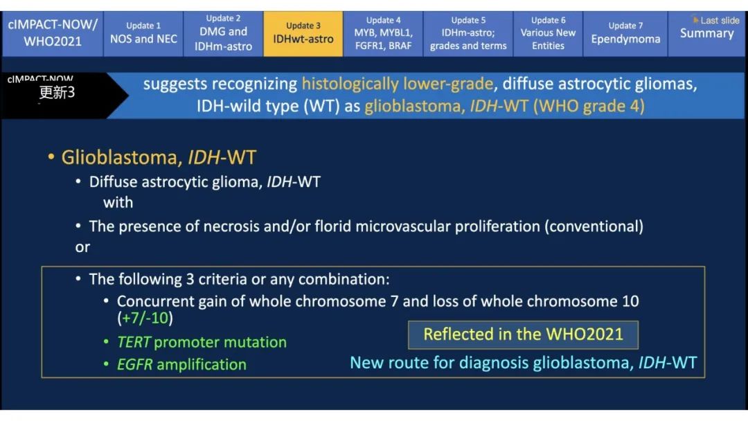 【PPT】中枢神经系统肿瘤的MRI表现：随cIMPACT-NOW一同展望WHO2021分类-19