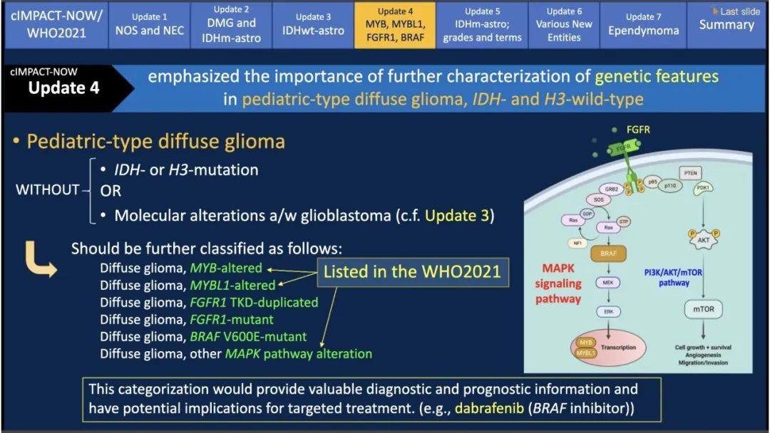 【PPT】中枢神经系统肿瘤的MRI表现：随cIMPACT-NOW一同展望WHO2021分类-23