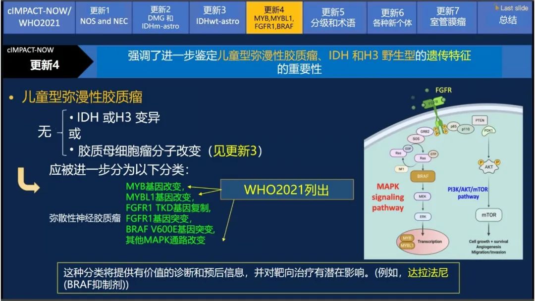 【PPT】中枢神经系统肿瘤的MRI表现：随cIMPACT-NOW一同展望WHO2021分类-24