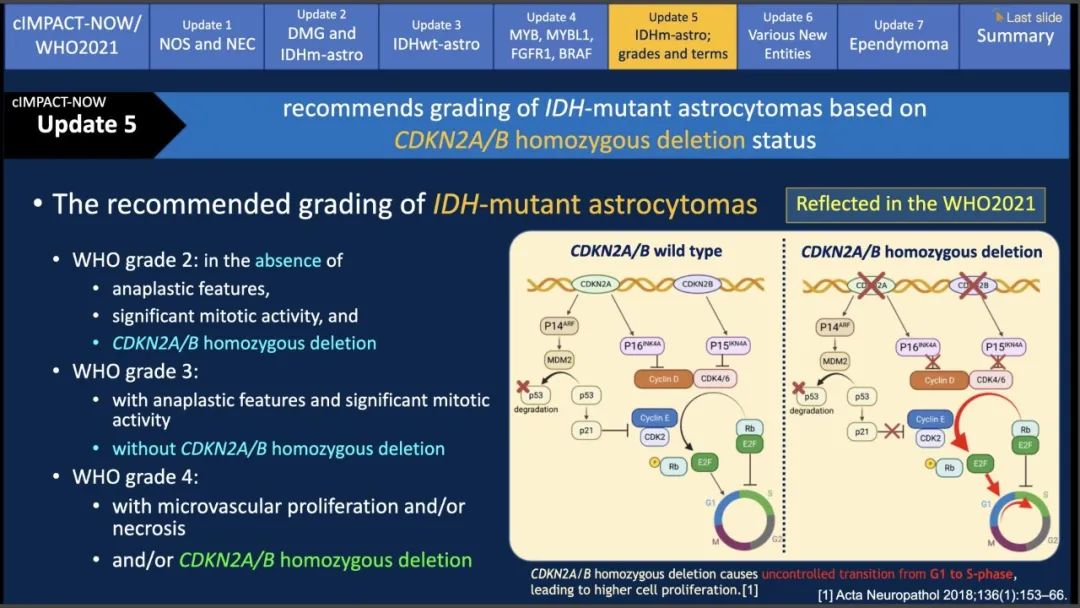 【PPT】中枢神经系统肿瘤的MRI表现：随cIMPACT-NOW一同展望WHO2021分类-31