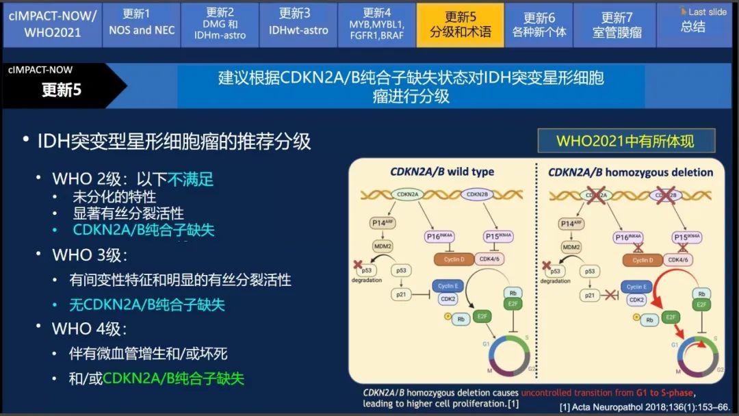 【PPT】中枢神经系统肿瘤的MRI表现：随cIMPACT-NOW一同展望WHO2021分类-32