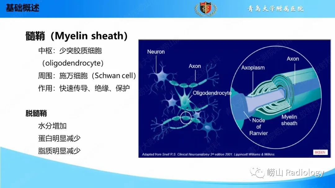 【PPT】脱髓鞘疾病-3