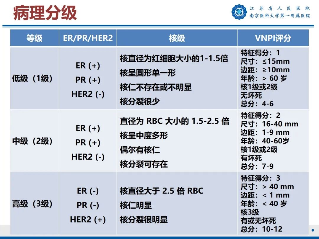 【PPT】导管原位癌-31