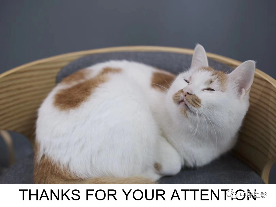 【病例】致心律失常性右室心肌病1例MR影像-32