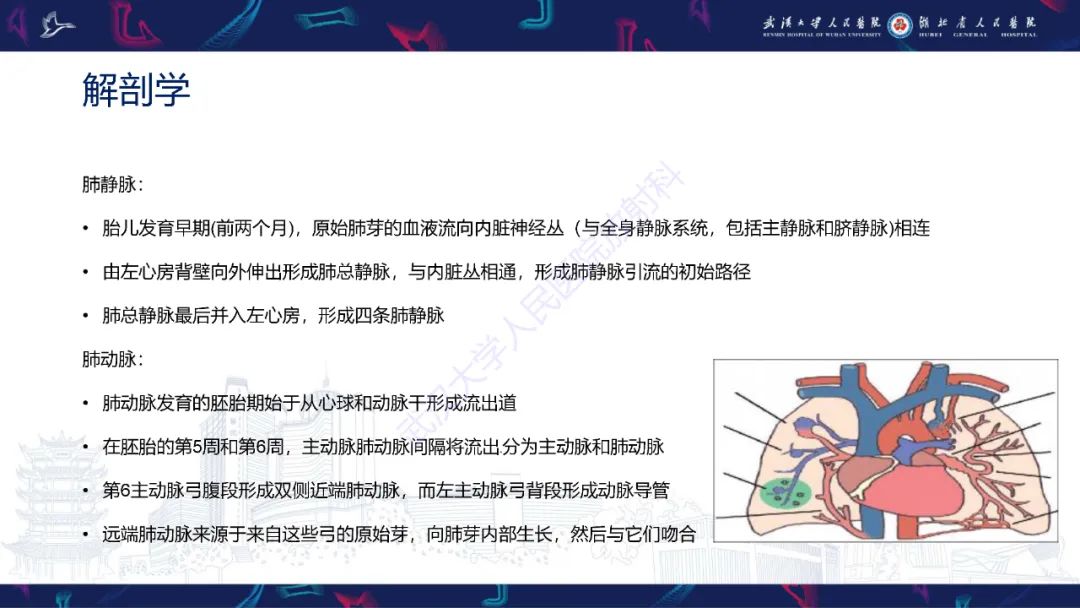 【PPT】肺动静脉畸形CT诊断-7