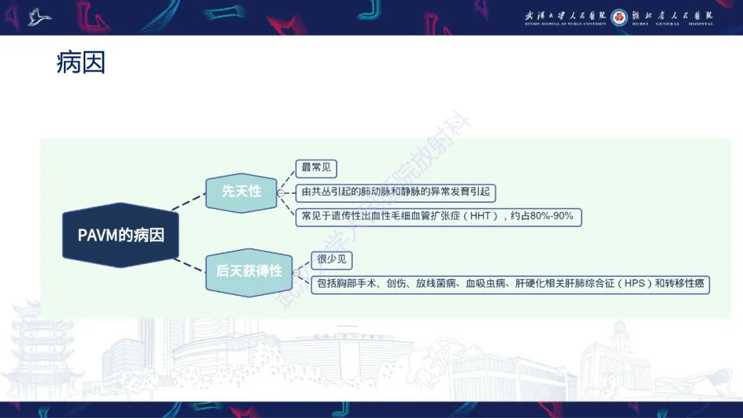 【PPT】肺动静脉畸形CT诊断-8