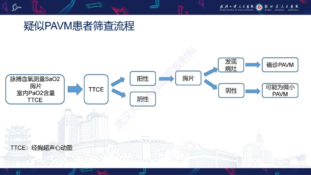【PPT】肺动静脉畸形CT诊断-12
