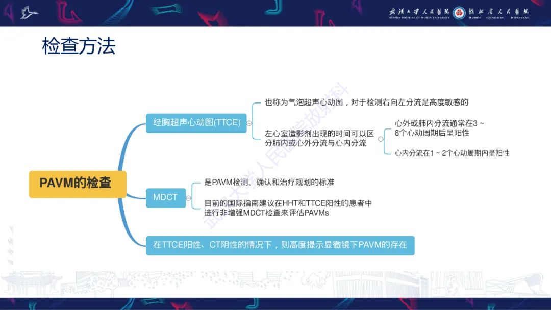 【PPT】肺动静脉畸形CT诊断-13