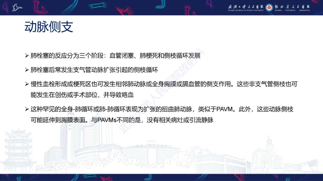 【PPT】肺动静脉畸形CT诊断-27