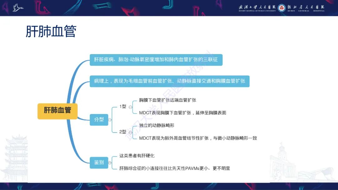 【PPT】肺动静脉畸形CT诊断-31