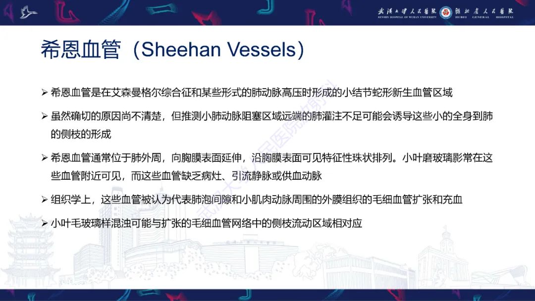 【PPT】肺动静脉畸形CT诊断-33