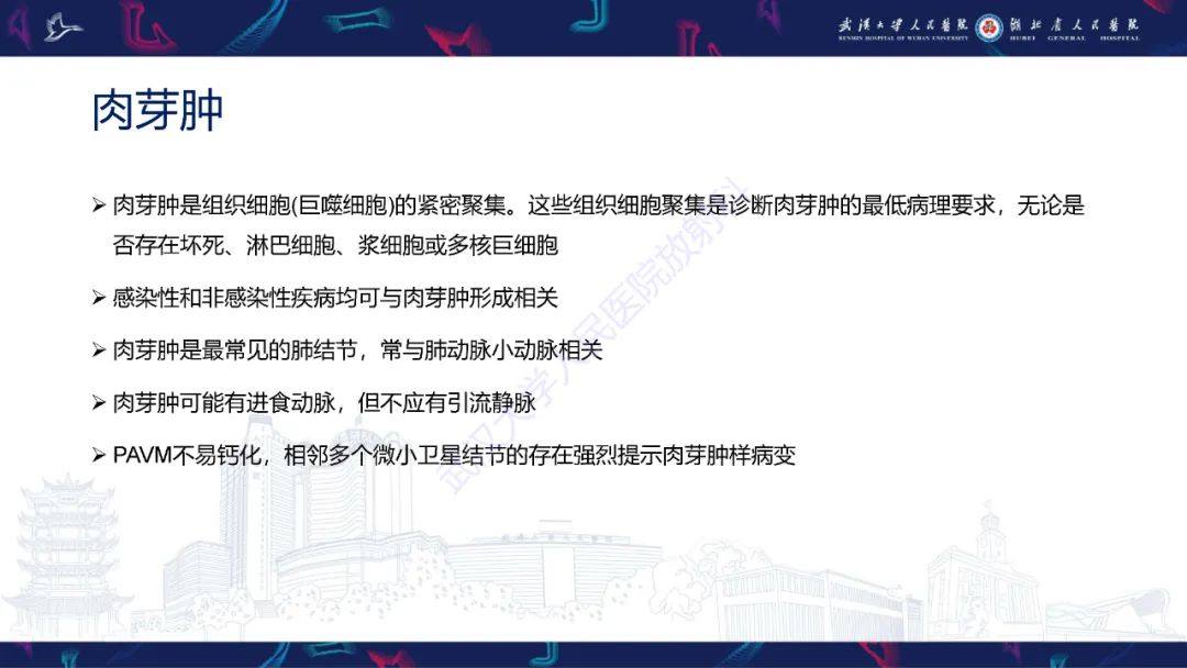 【PPT】肺动静脉畸形CT诊断-40