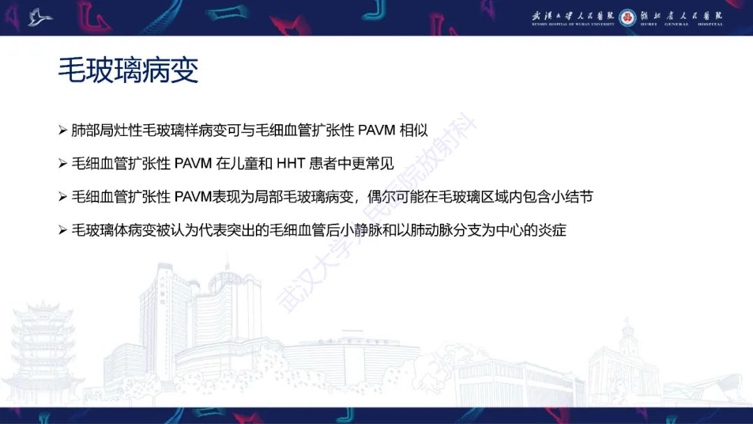 【PPT】肺动静脉畸形CT诊断-48