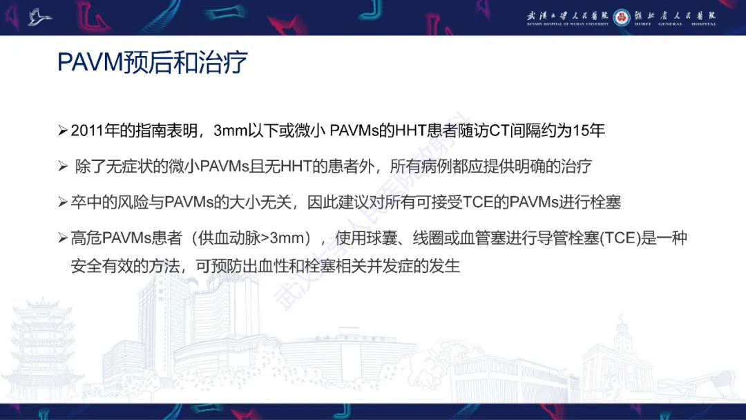 【PPT】肺动静脉畸形CT诊断-52